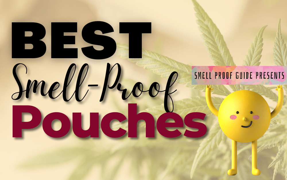 7 Best SmellProof Pouches (AirTight Containers for Stash) 2021