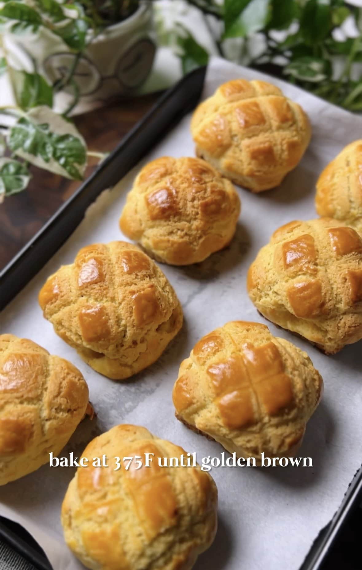 homemade Chinese pineapple buns (shortcut version!) smelly lunchbox