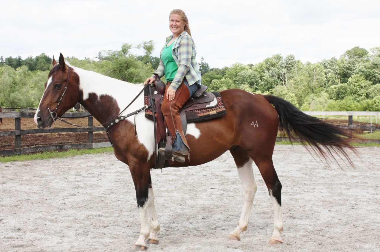 Riding horses for sale in Pennsylvania