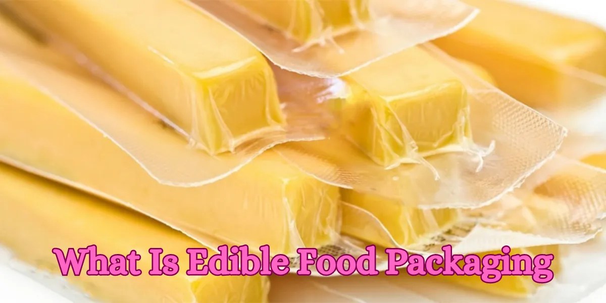 Edible Food Packaging Sustainable & Innovative Solutions