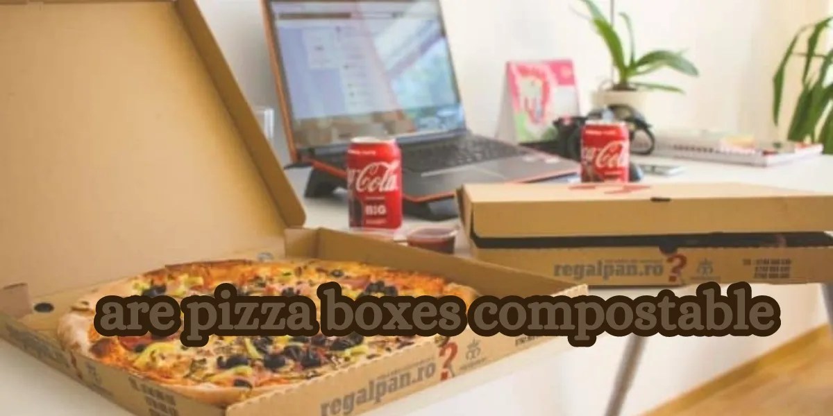 Are Pizza Boxes Compostable? EcoFriendly Packaging Guide
