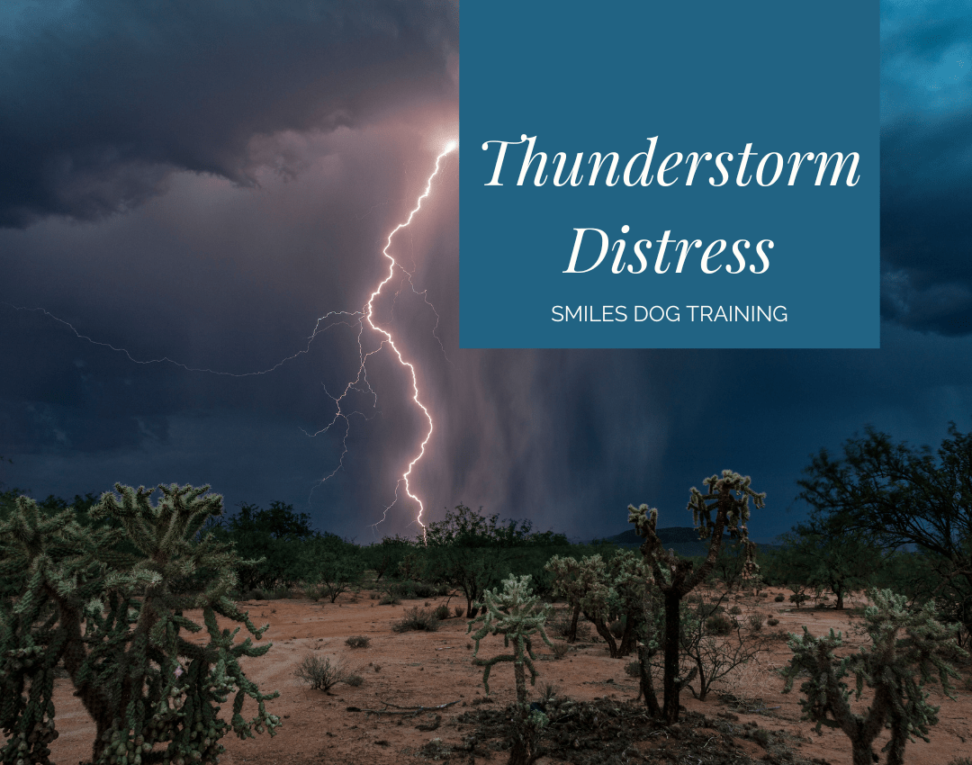 Weather the Storm Together A Positive Reinforcement Approach to