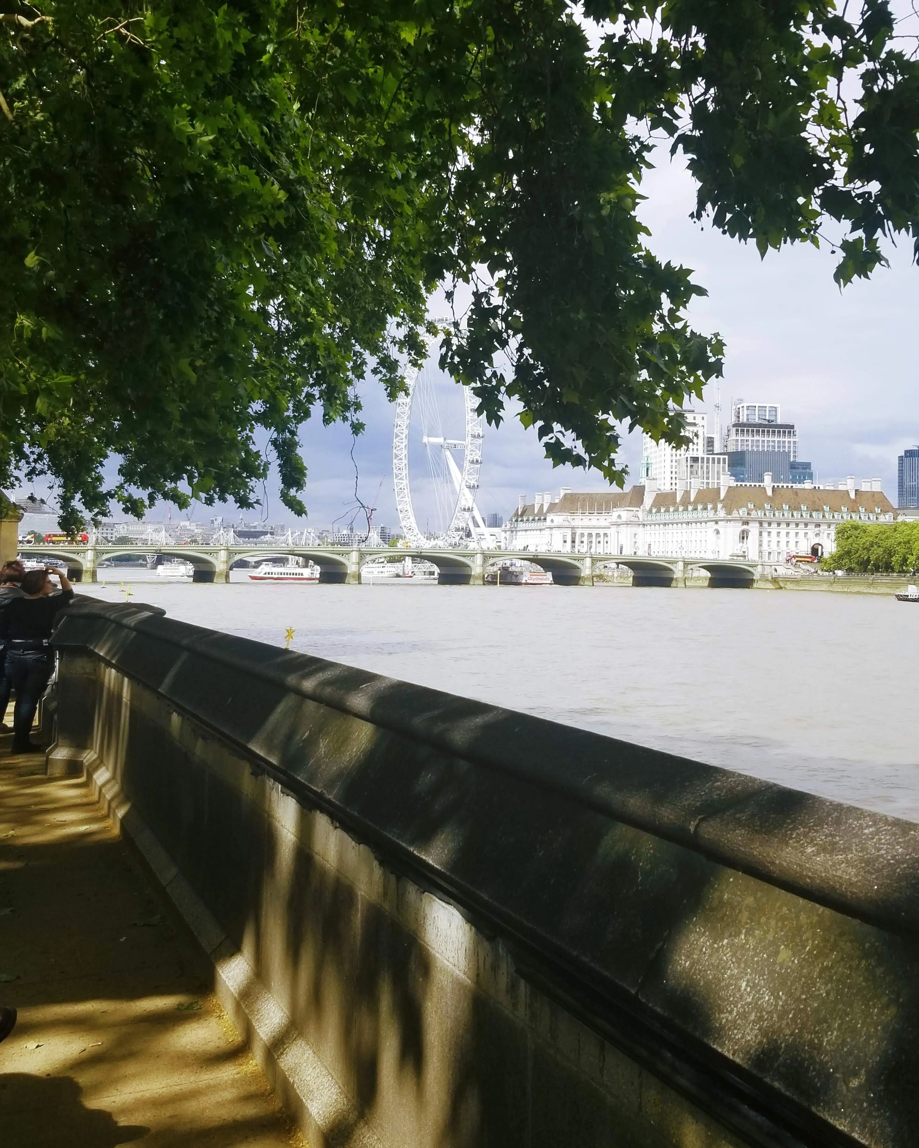 Enjoy the view of the River Thames, Westminster Bridge and the Eye of London from the walkway in Victoria Tower Gardens.