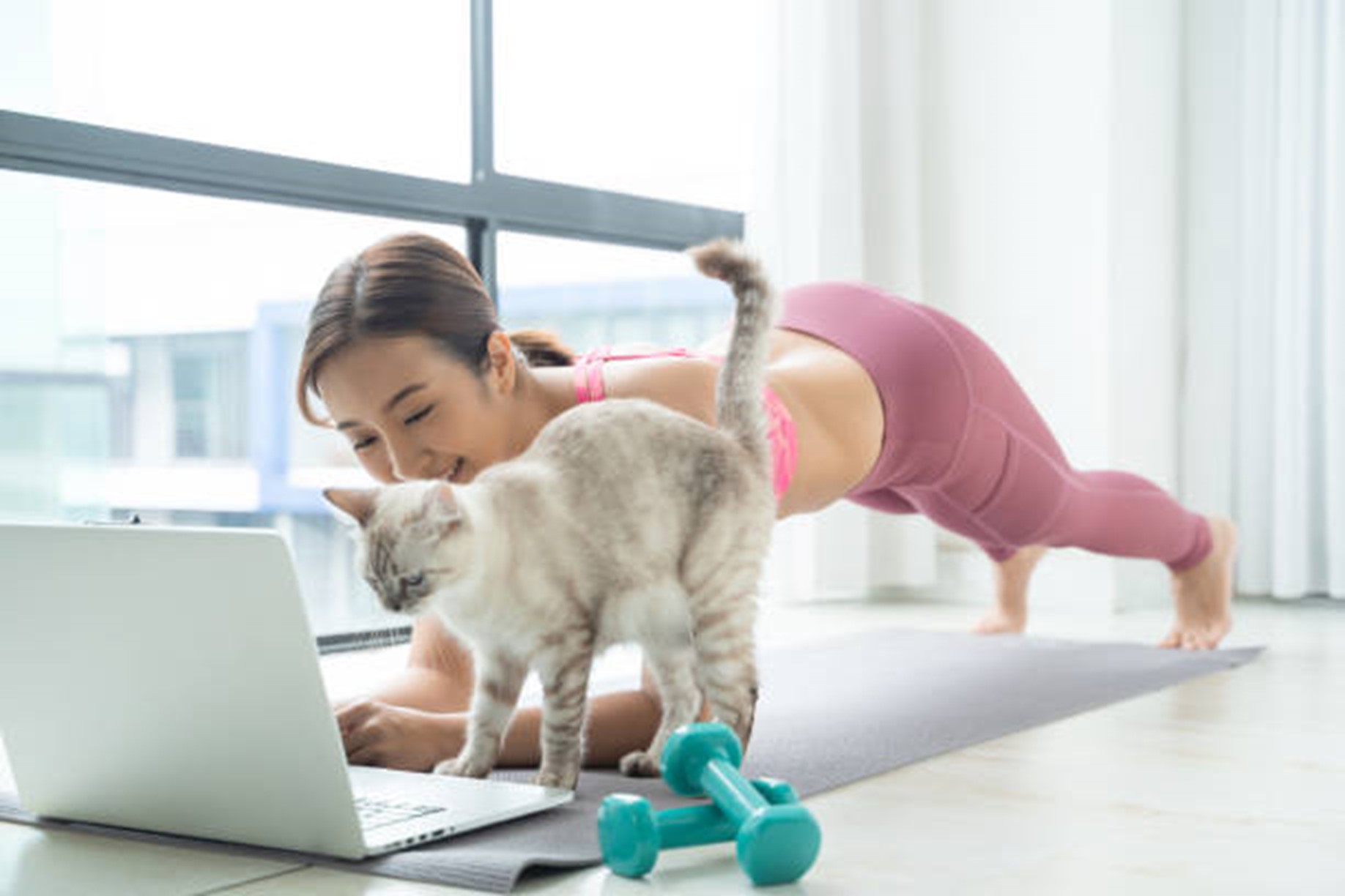 exercise with cat
