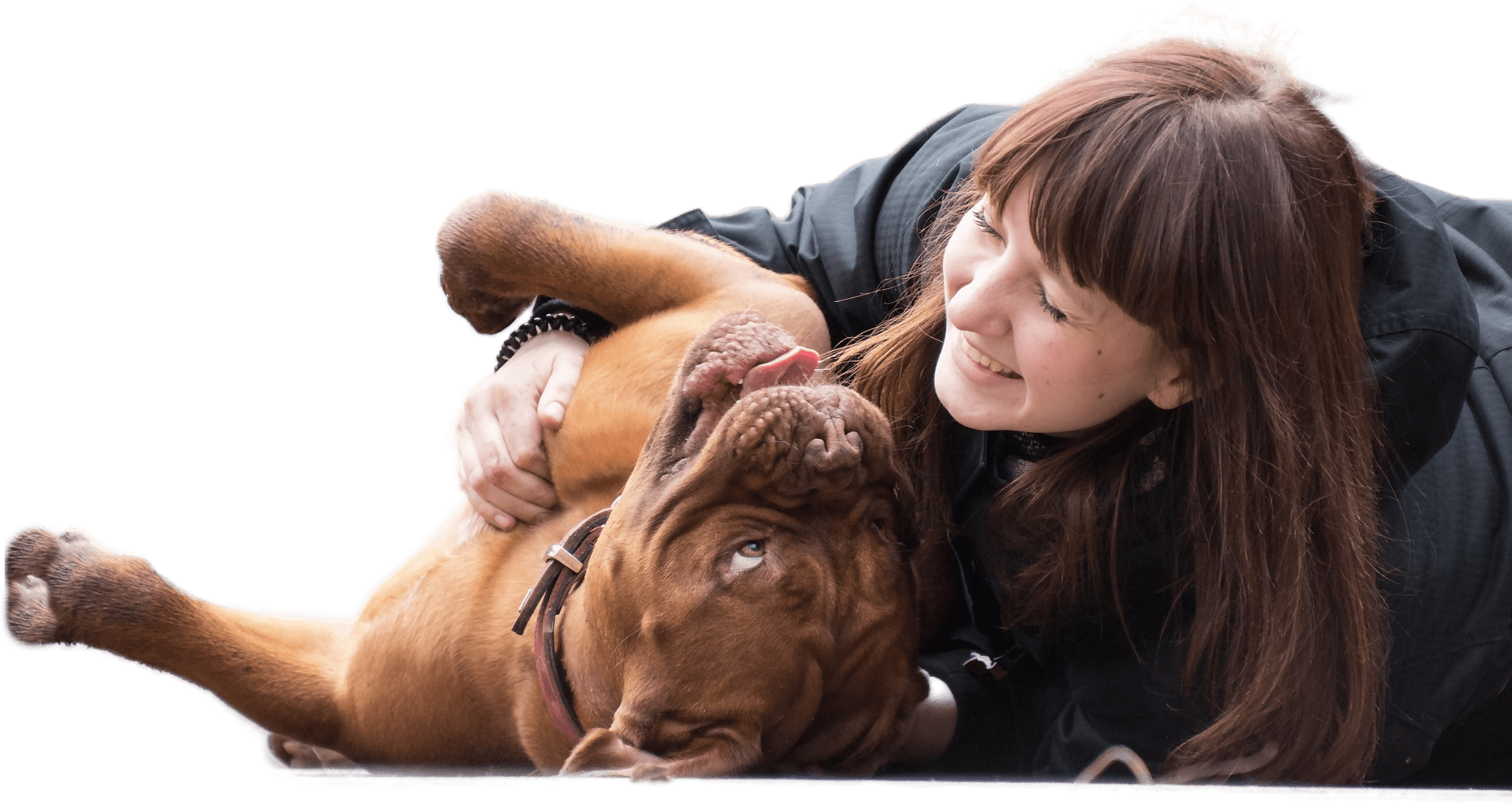 Dog Training Home Smiling Dogs Training