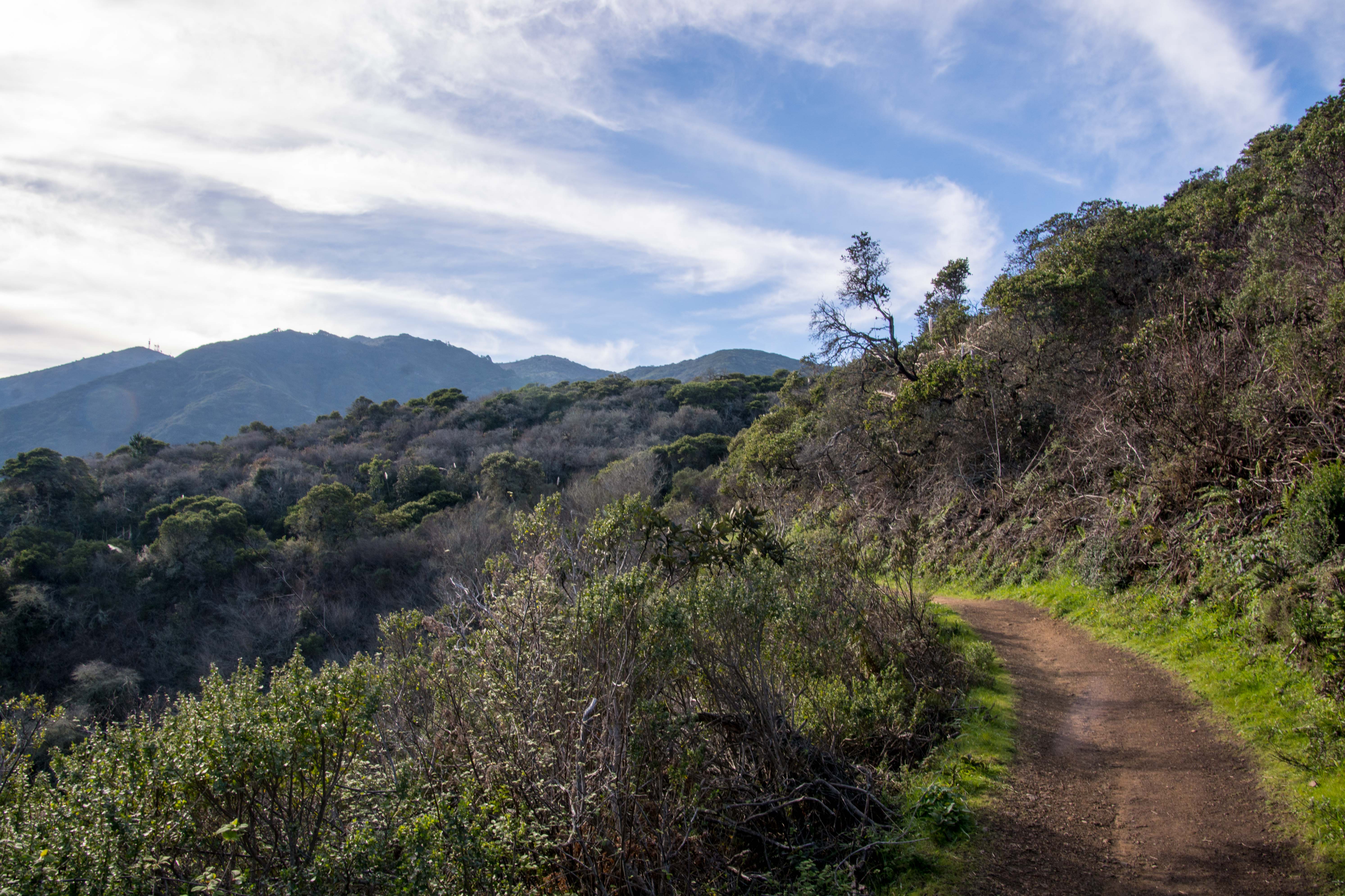 Escape to Montara Mountain San Mateo County Smiling In Sonoma