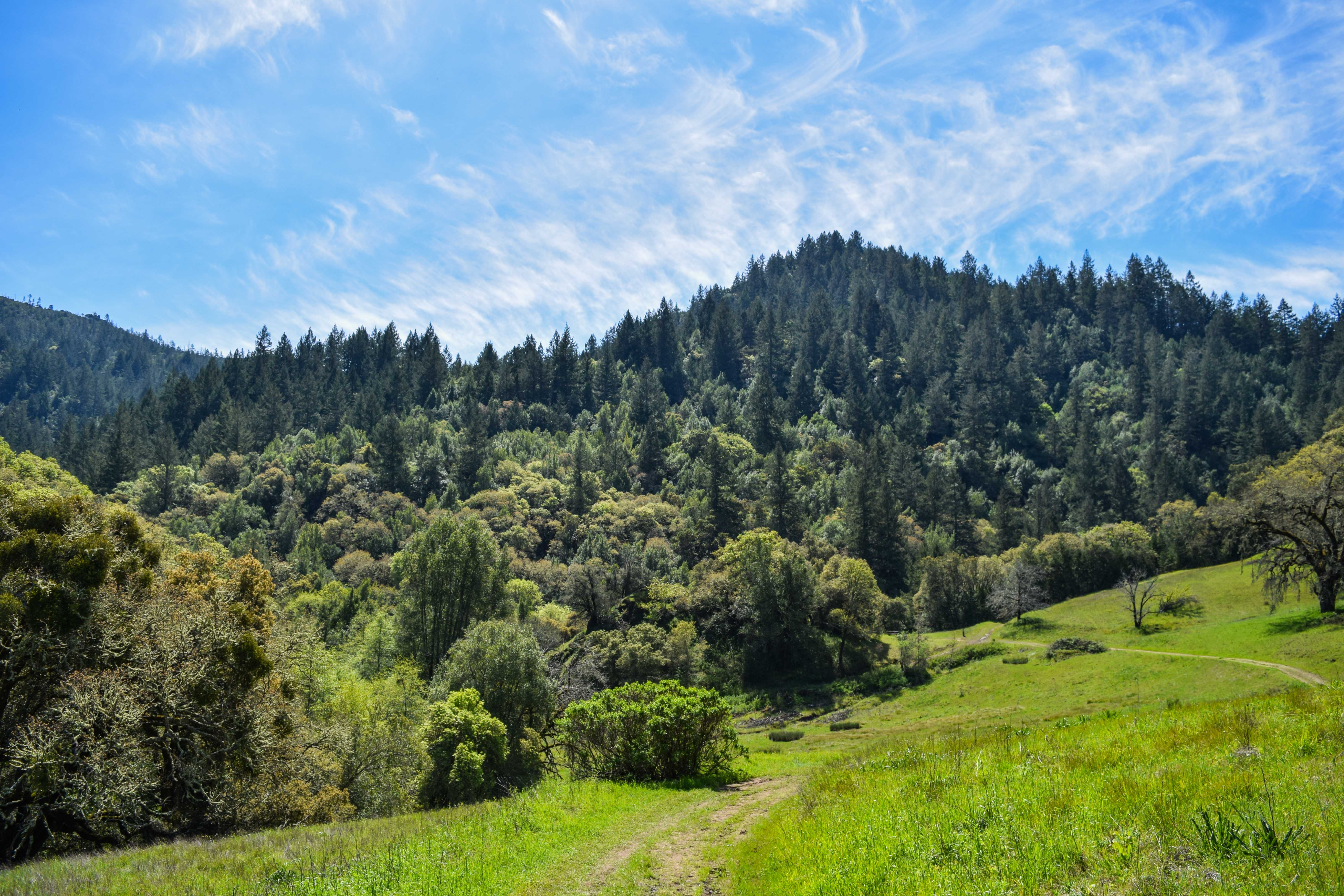 Gunsight Rock from Los Alamos Hood Mountain Smiling In Sonoma