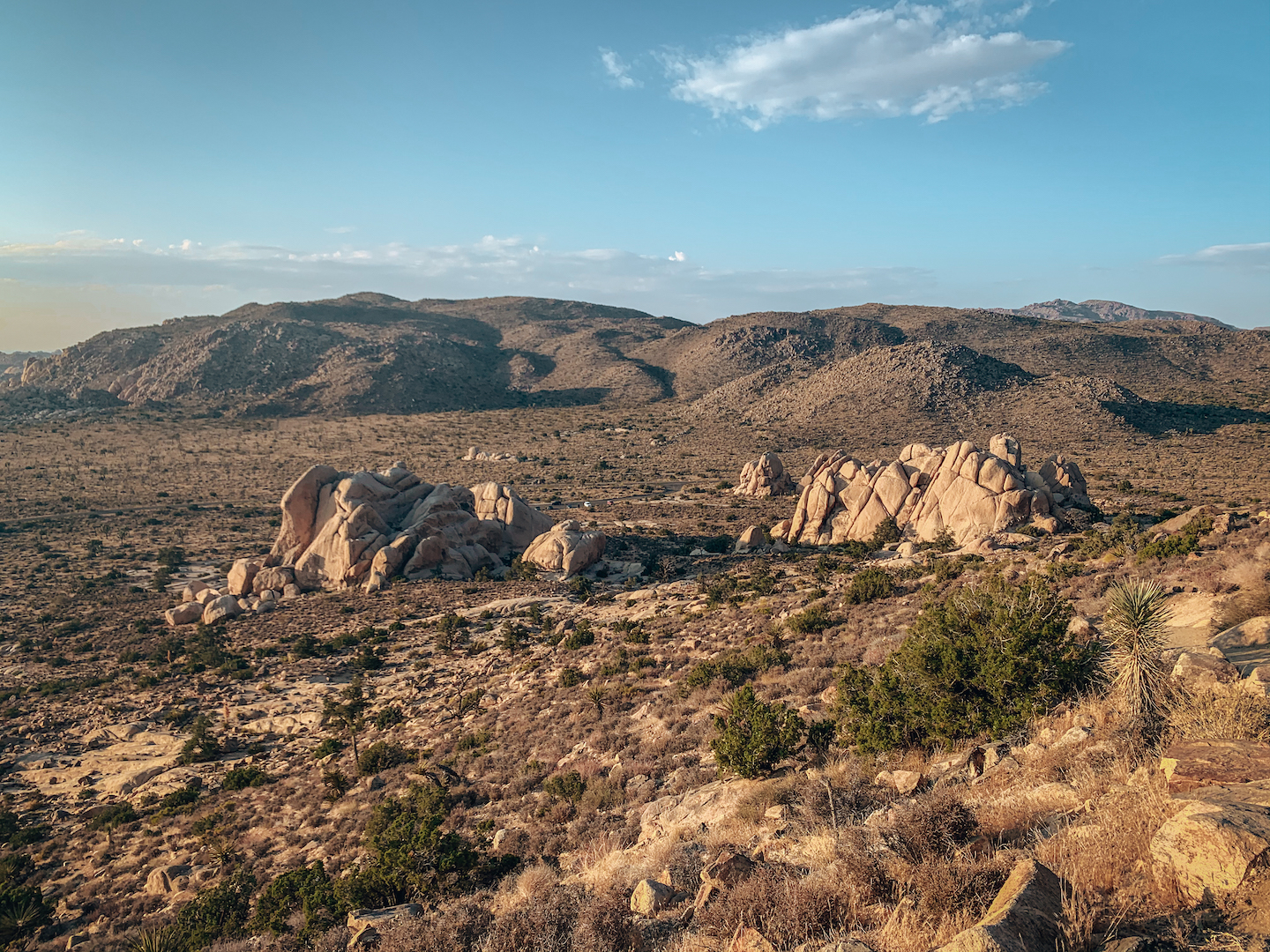 5 MUSTDO ACTIVITIES IN JOSHUA TREE NATIONAL PARK Smilkos Lens