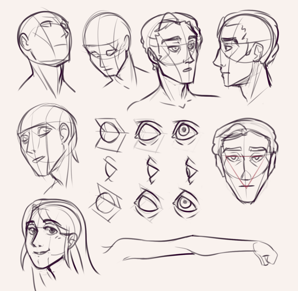 Drawing drill 47 Character poses, face anatomy