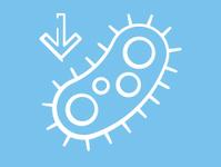 ACTICOAT Antimicrobial Barrier Dressings | Smith+Nephew Australia