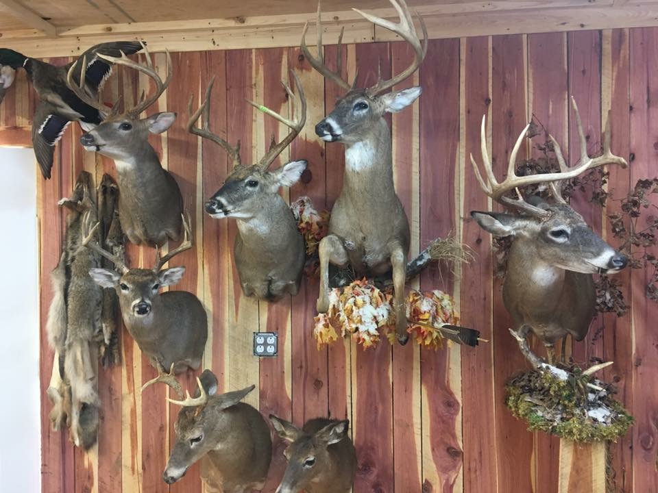 Business Spotlight Defeated Creek Taxidermy Smith County Insider