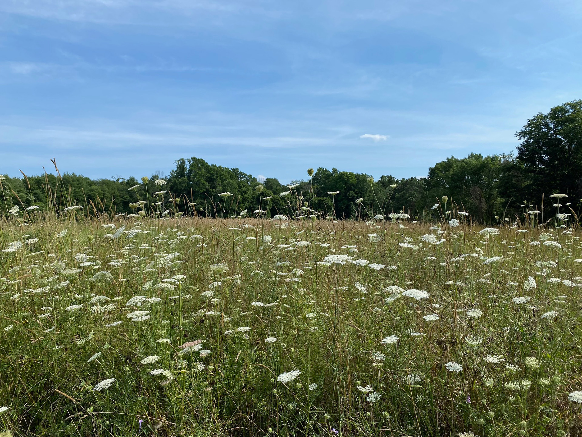 Countryside Venue Special Events Smith Farm Gardens