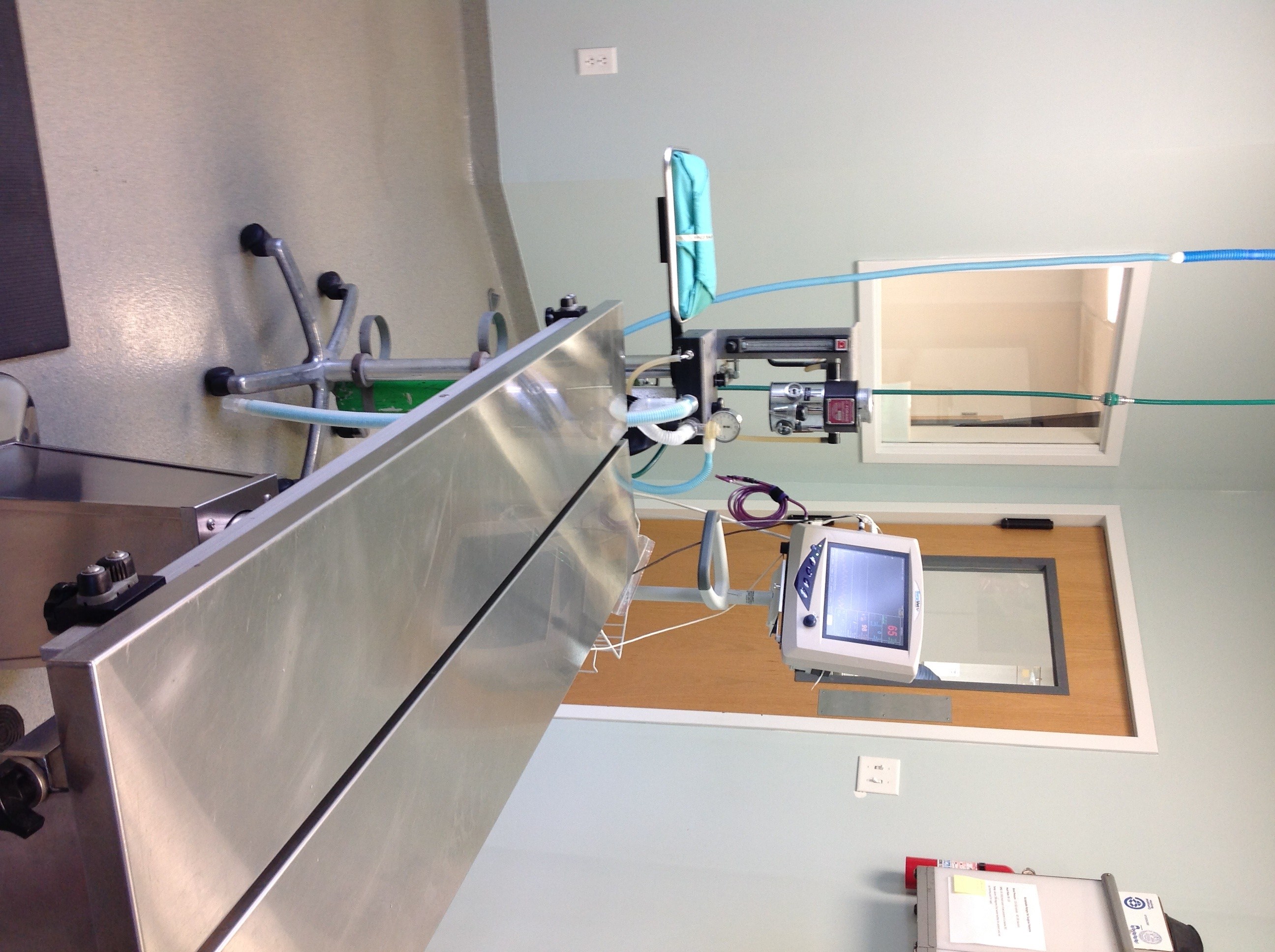 Services Veterinarian in Smithfield, VA Smithfield