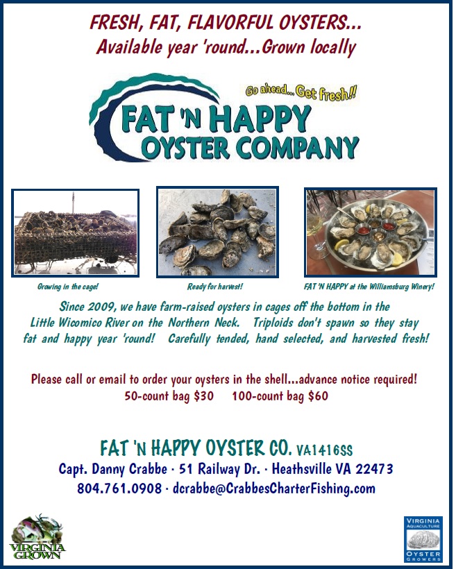 smithpointmarina, Smith Point Marina,rockfish, cheasapeake bay charter