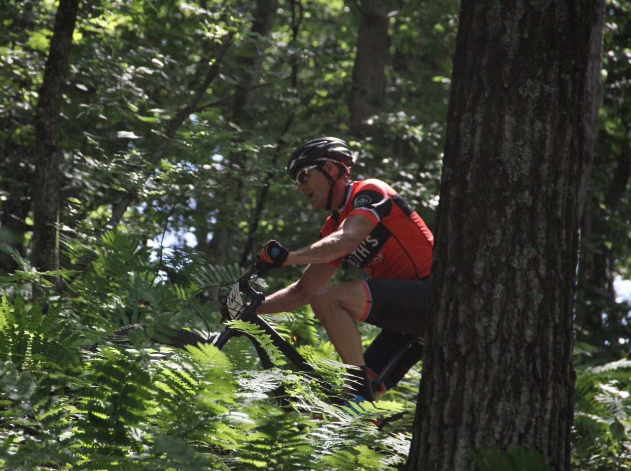 Mountain biking trails in La Crosse, Wisconsin