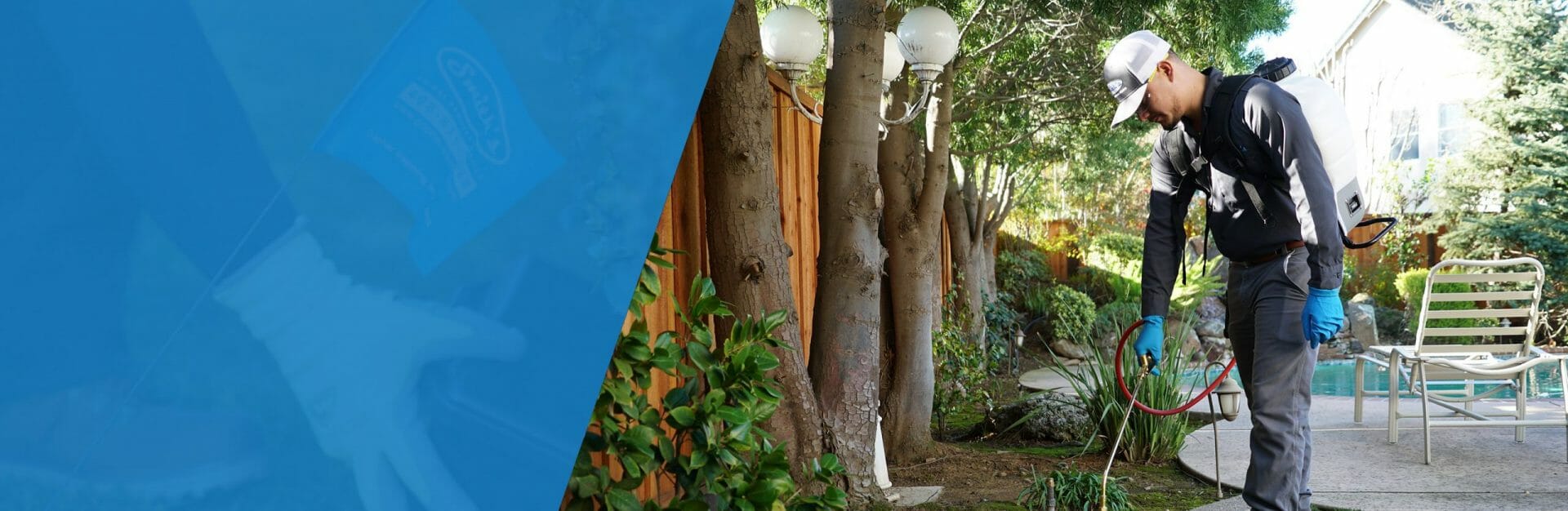 San Francisco Bay Area Pest Control For Homes & Businesses