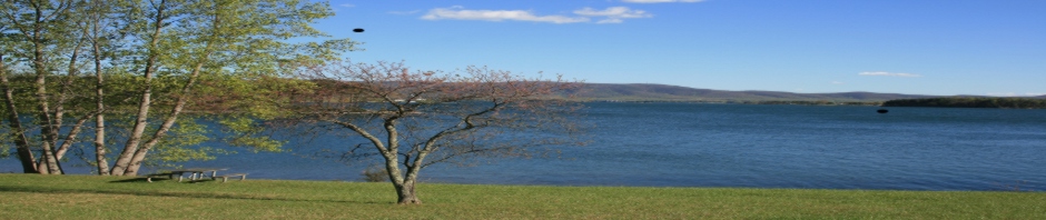 Smith Lake Smith Lake Tn