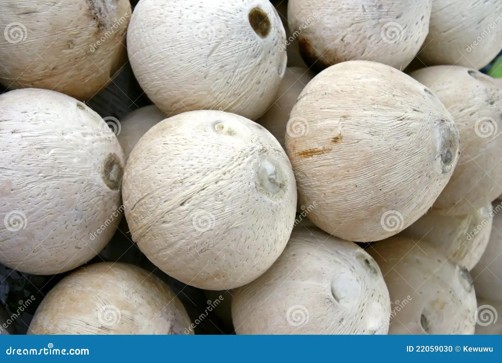 Smoked Coconut A Versatile And Delicious Ingredient Smokedbyewe