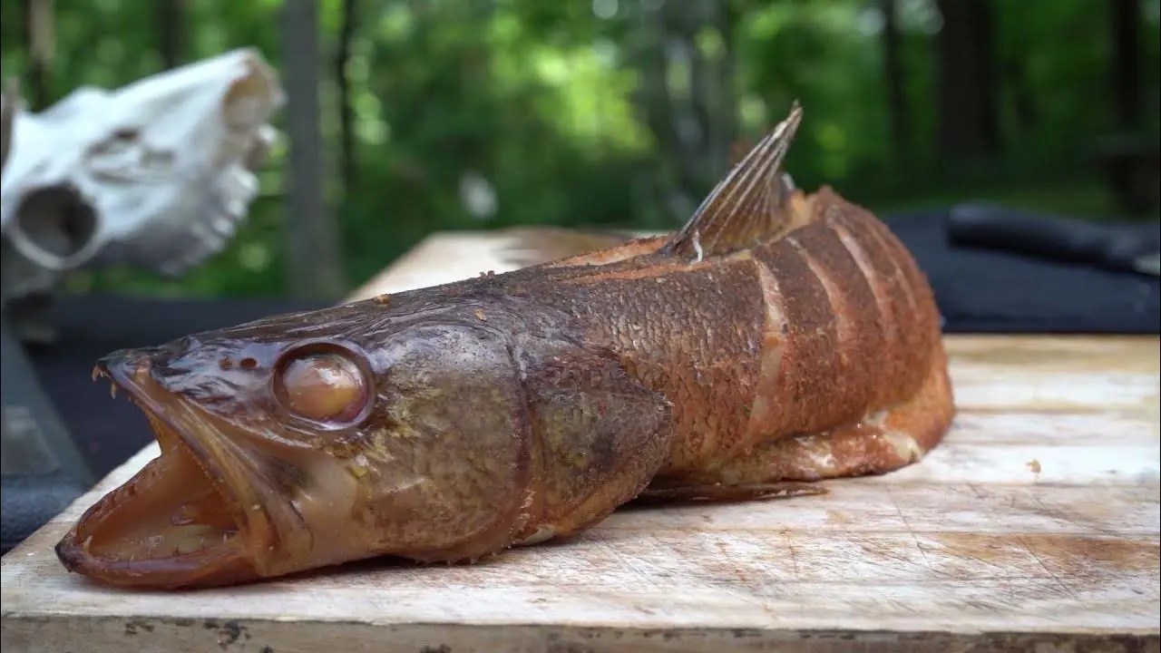 Delicious Smoked Walleye A Freshwater Delicacy Smokedbyewe