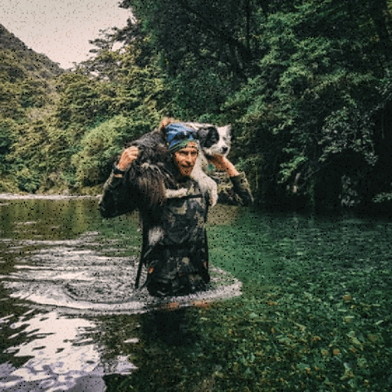 About us Smoke Wagon Firearms