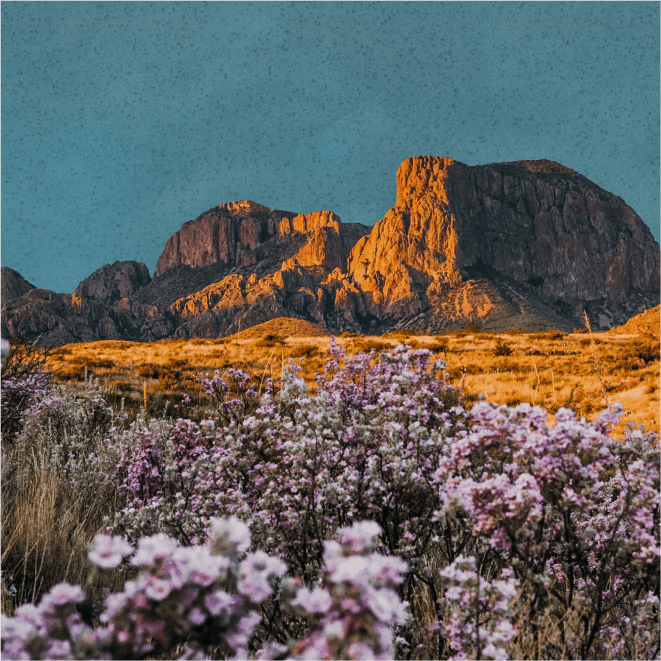 Smoke Wagon Firearms Tradition and Innovation Crafting Your Firearm