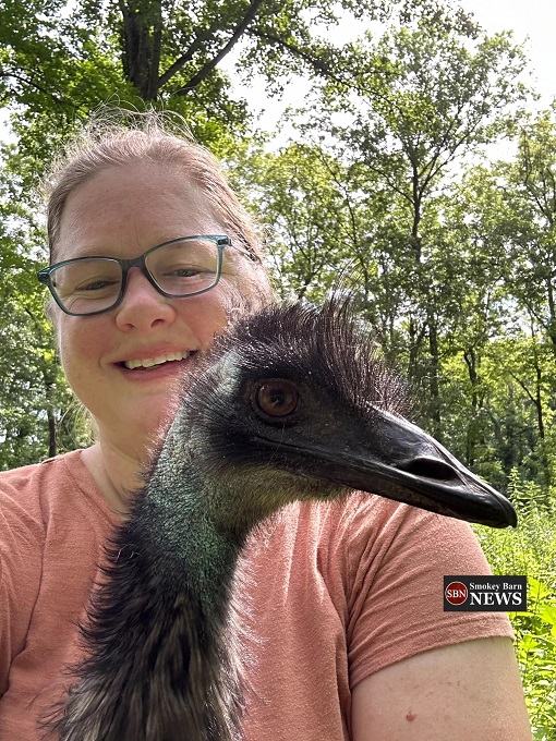 The Daily Brief Monday July 8 2024 Smokey Barn News