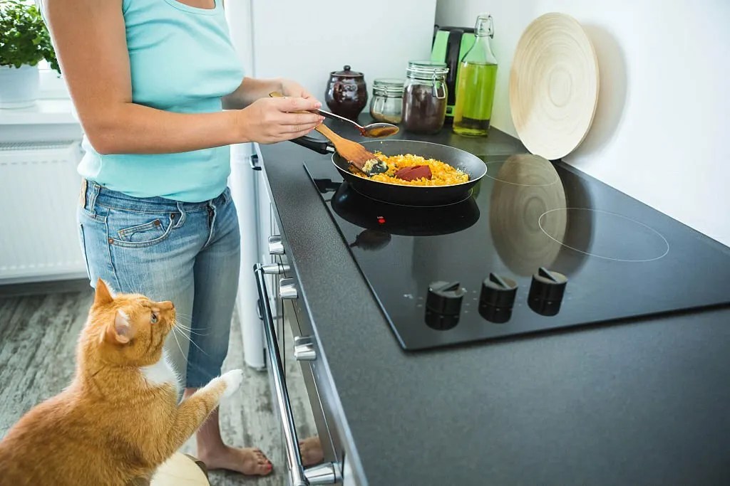 Can Cats Eat Human Food