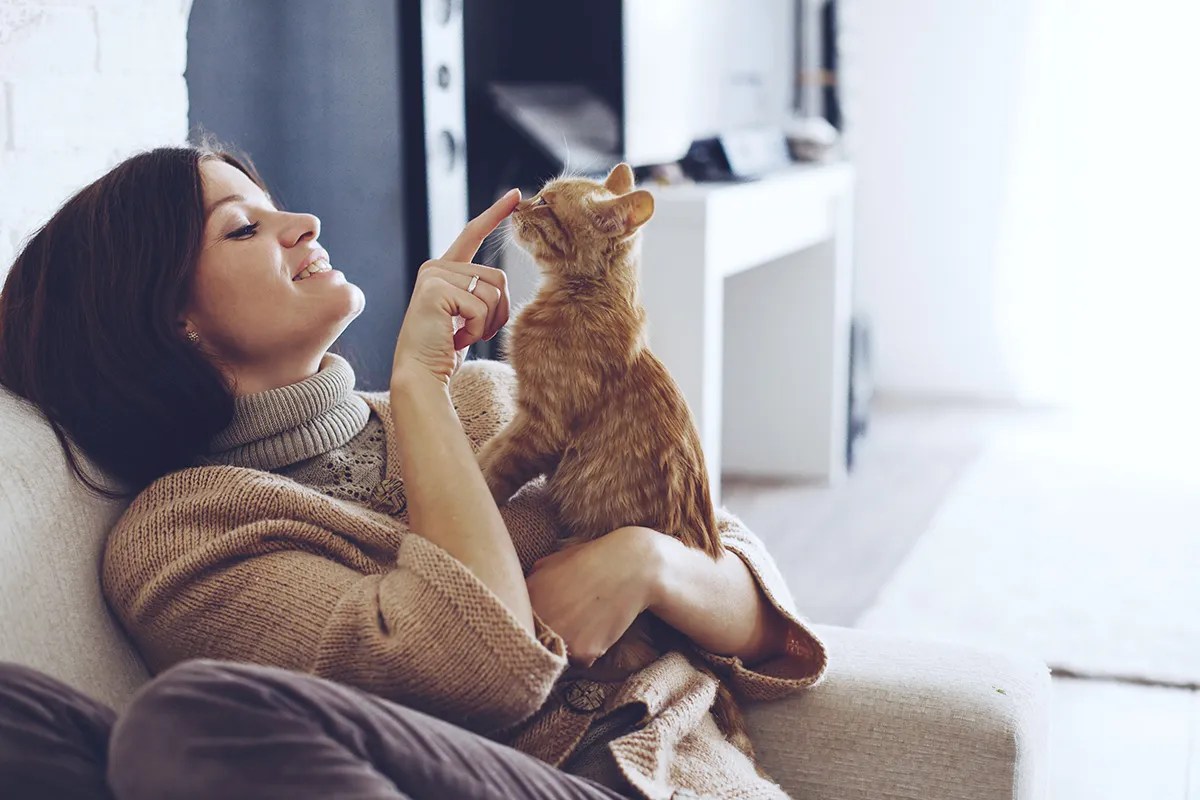 8 Ways to Make Cats Like You