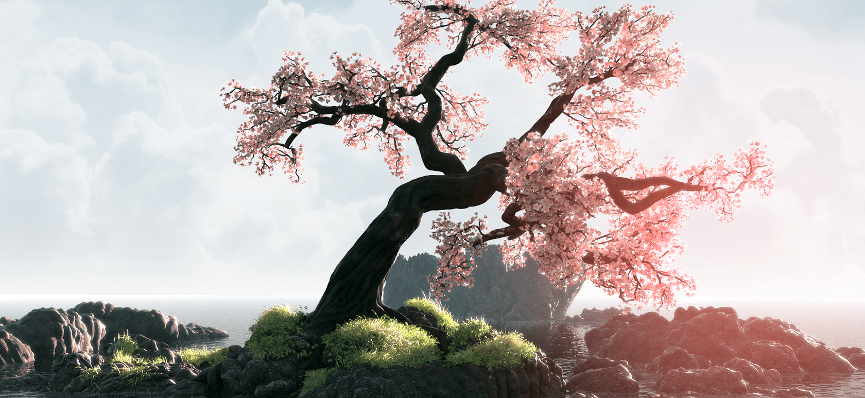 About Smoking with Cherry Wood