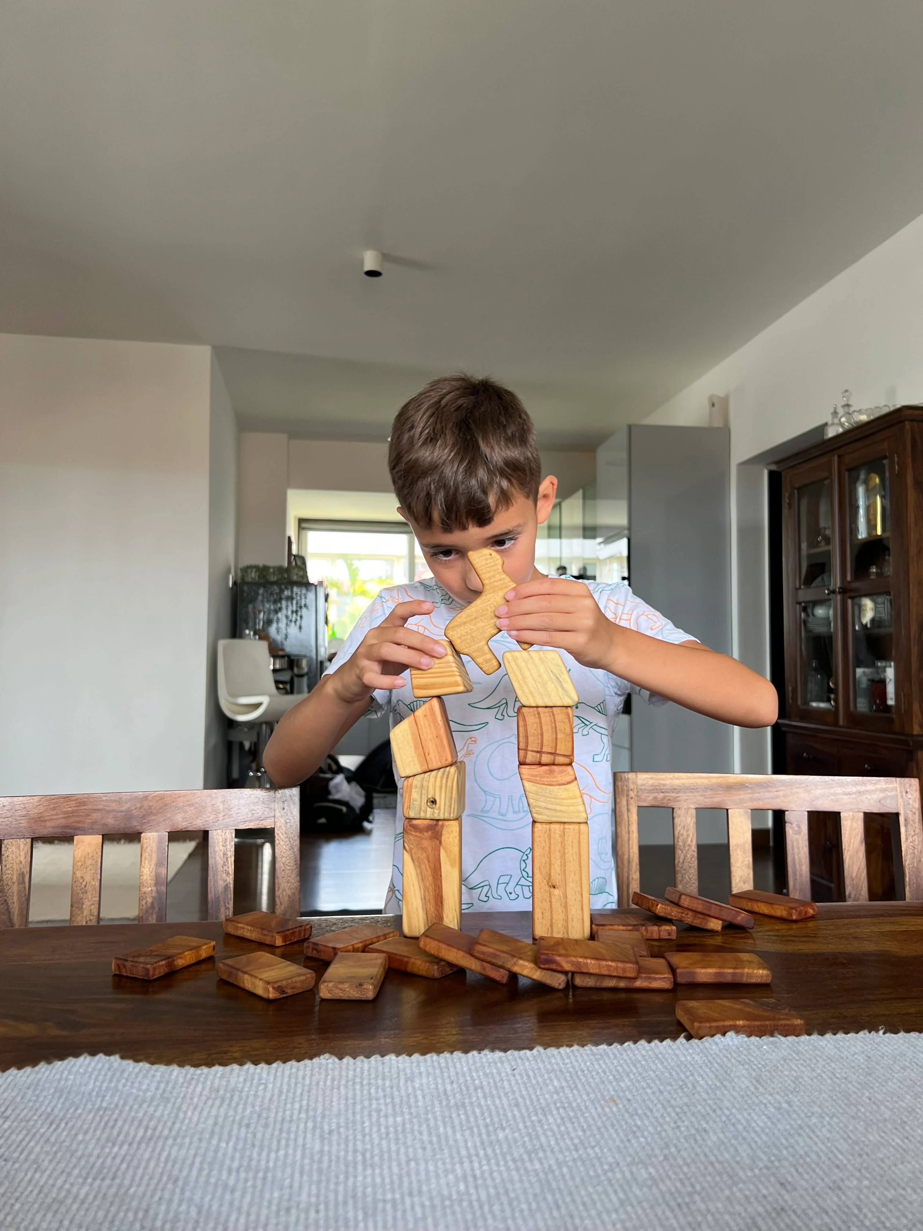 Wooden vs. Electronic Toys Fostering Healthy Play in a Digital World