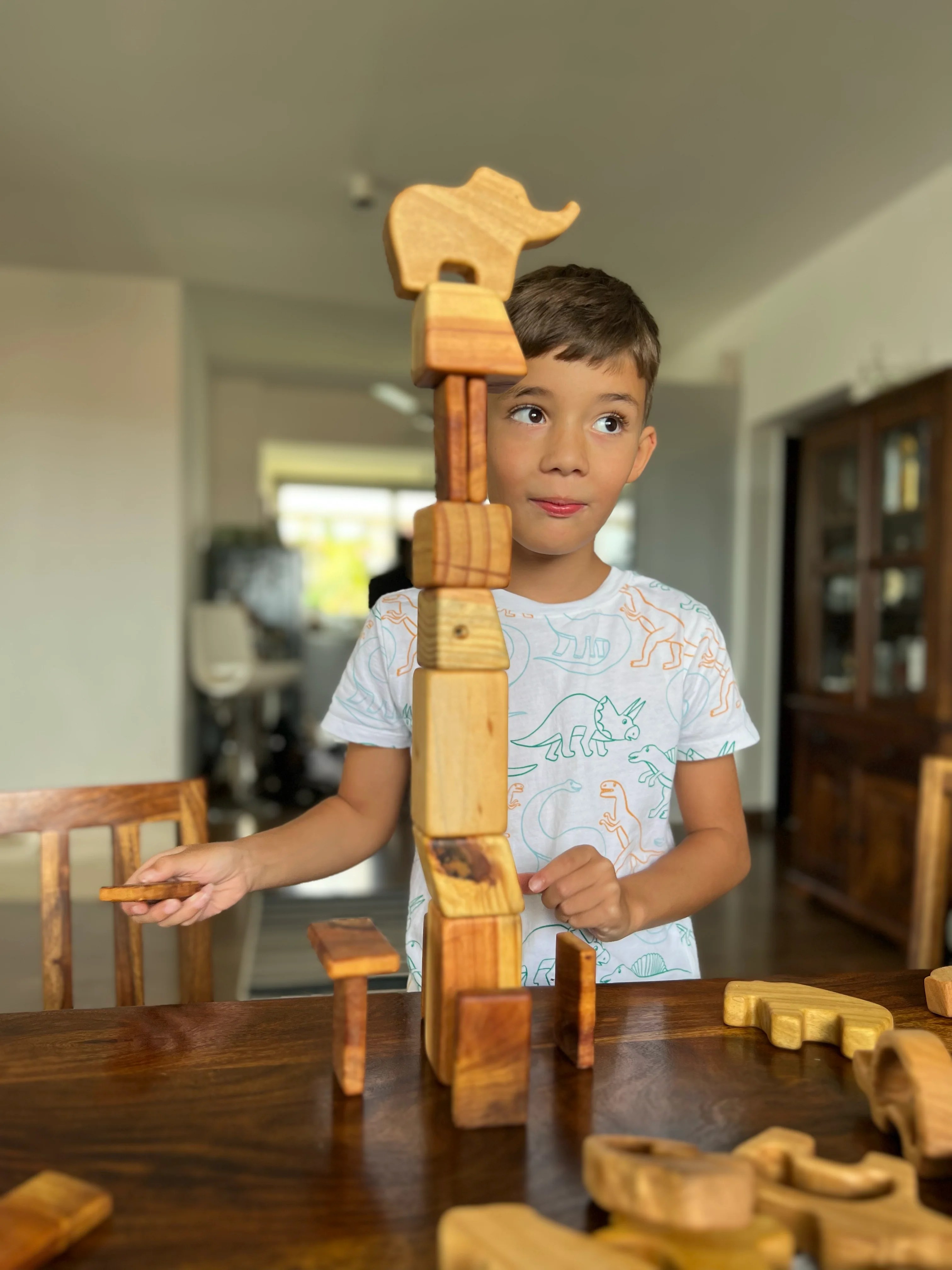 Why Our Wooden Toy Sets Are Perfect for Gifting smolblock