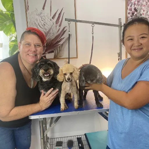 4 Day Professional Dog Grooming Smooch a Pooch