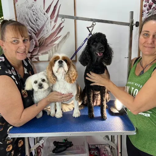 4 Day Professional Dog Grooming Smooch a Pooch