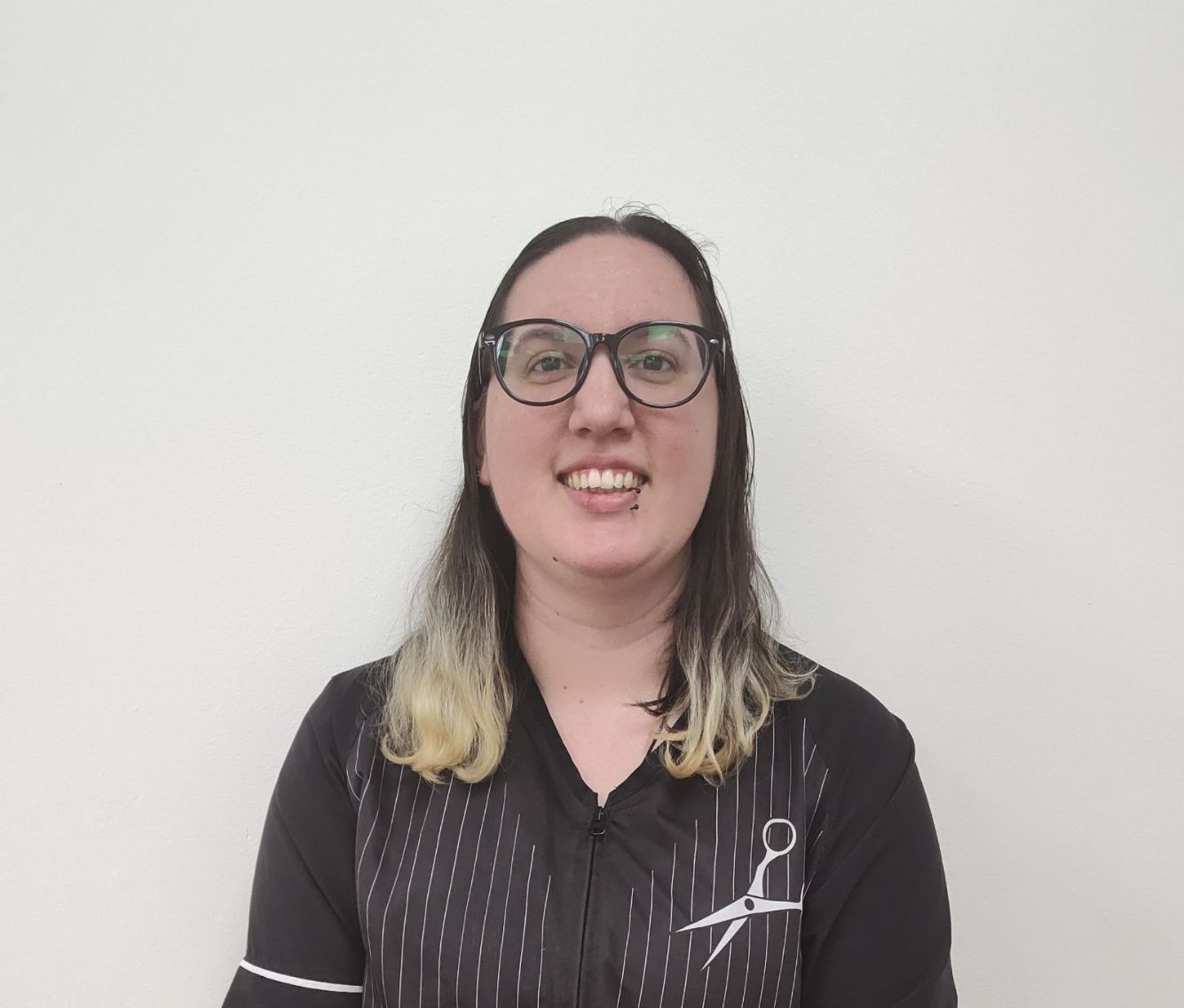 Fort Wayne Dog Grooming Dog Grooming Fort Wayne