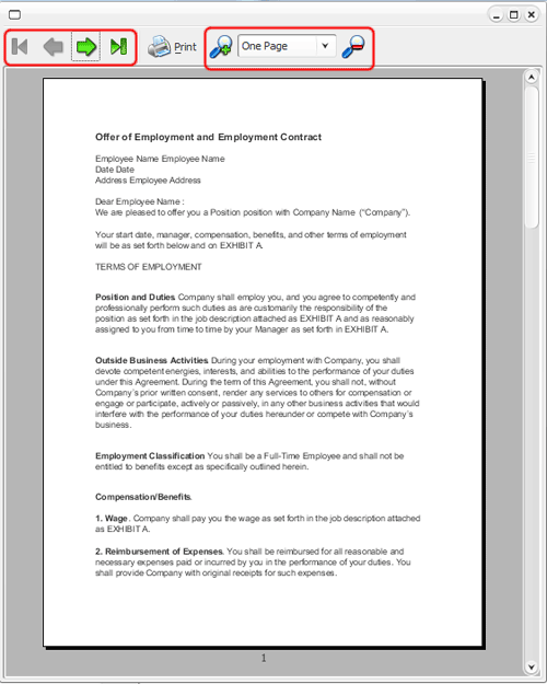 Step 3 Preview Your Document