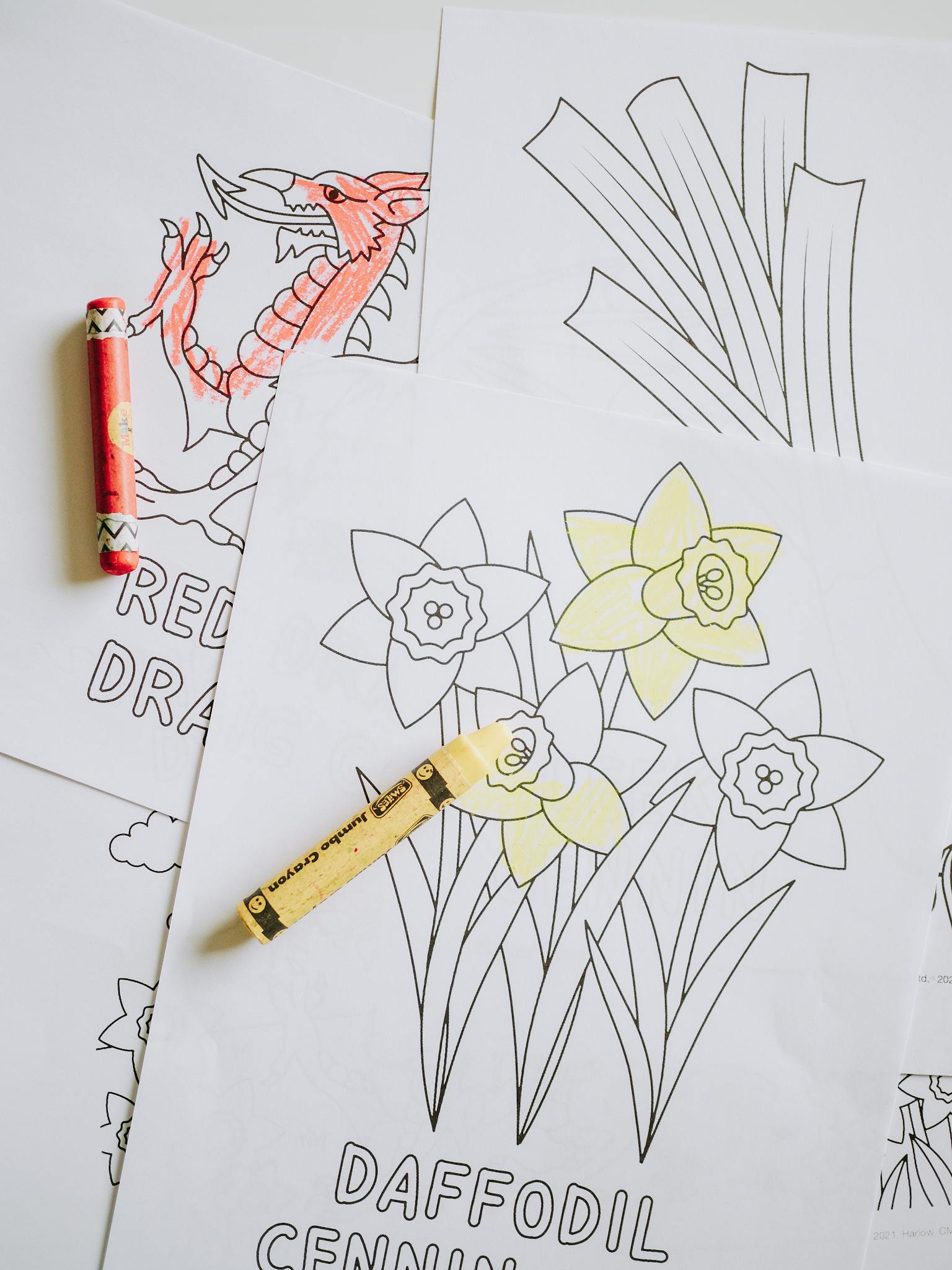 Coloring Pages for Kids and Adults Smooth Draw