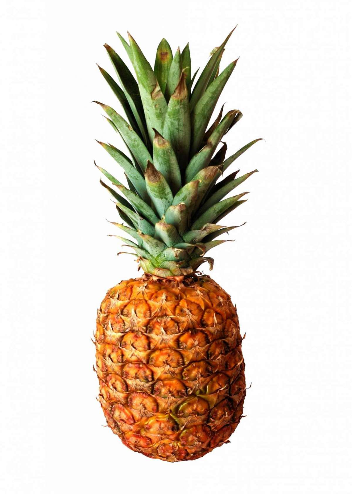 Ananas (Pineapple)