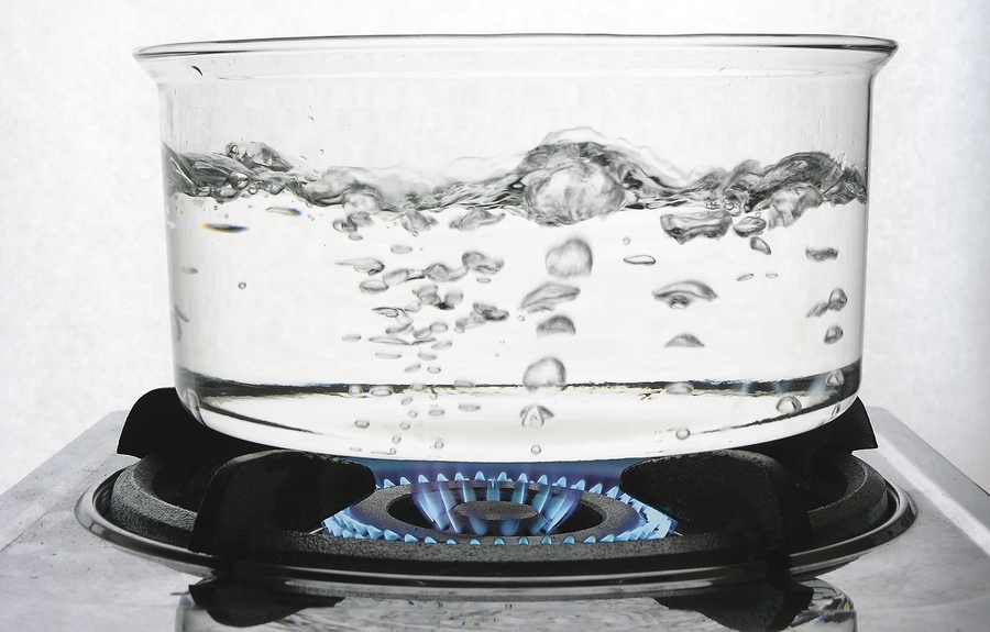 Best Fire Ant Killer 3 Homemade and 4 Commercial Product Reviews