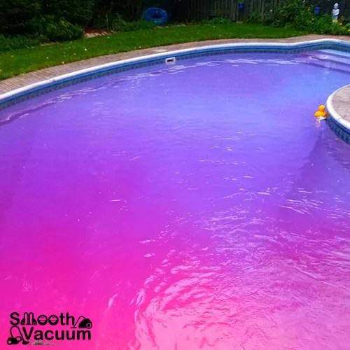 How to Remove Algae From Pool Without a Vacuum? Smoothvacuum