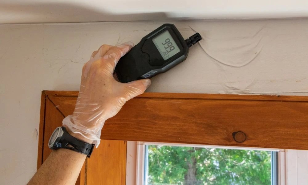 Home Air Quality Testing Guide Basics for a Healthier Living Space