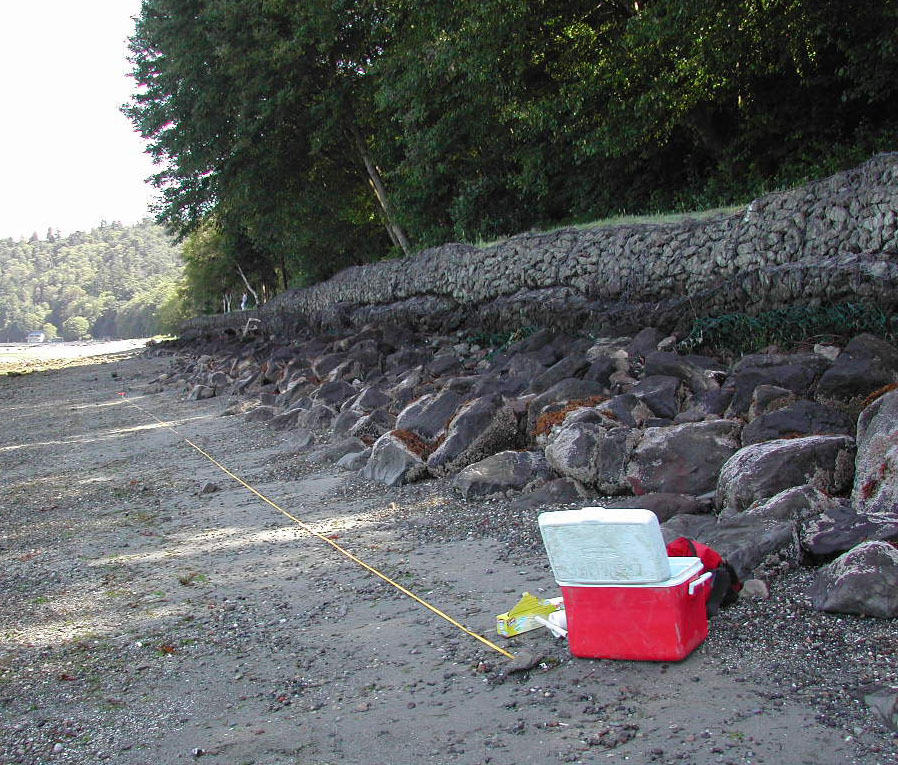 Shoreline Monitoring Toolbox Restoration Sites
