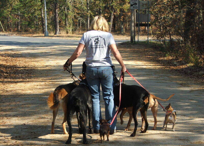 Loving Touch Pet Sitting and Dog Walking Service