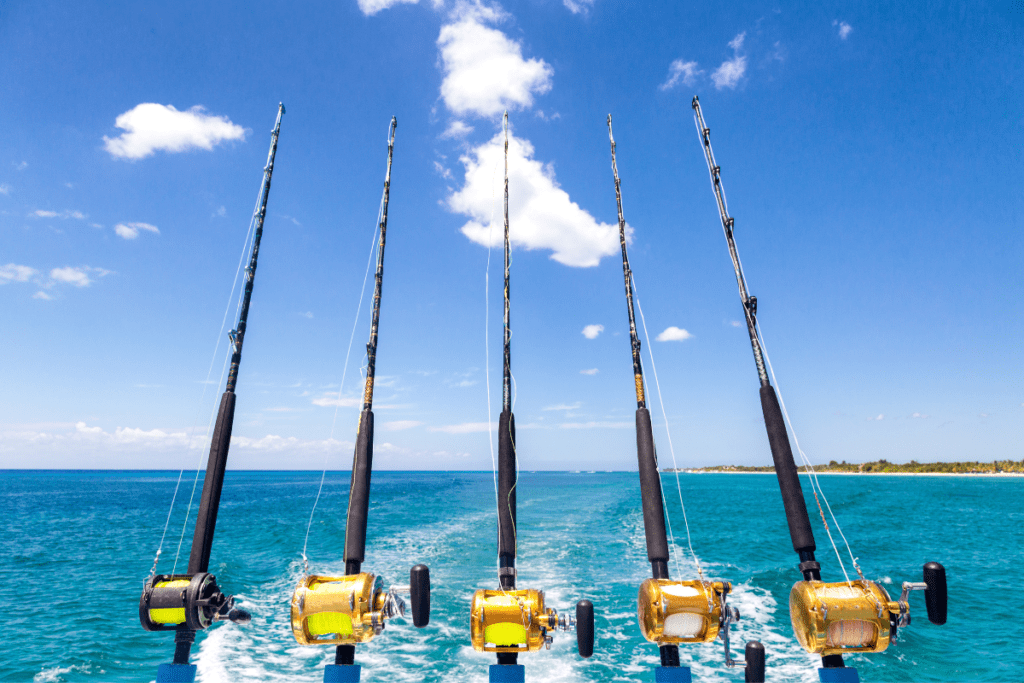 The 5 Best Fishing Destinations in The World