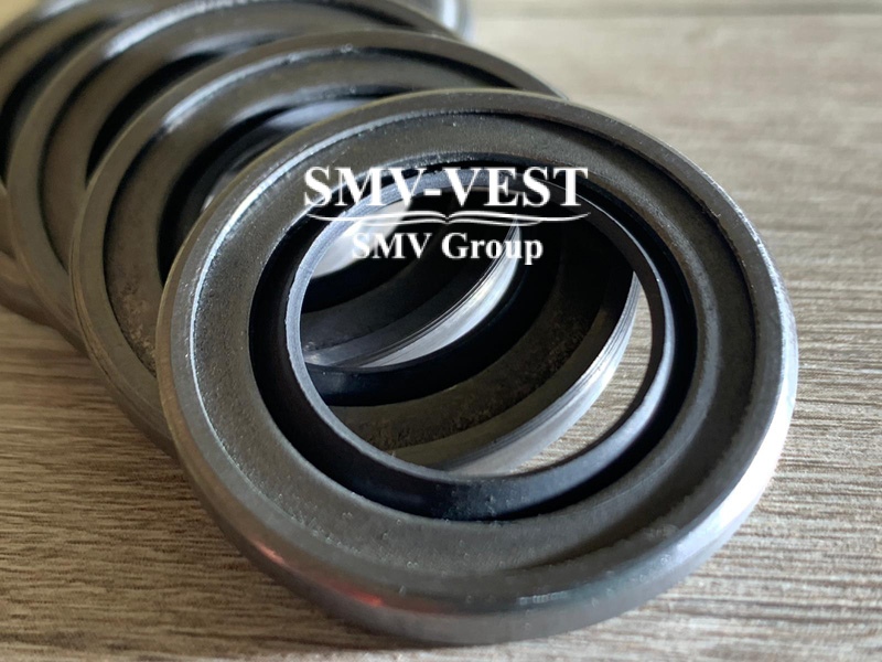 TDI lip seal 226719 SMV