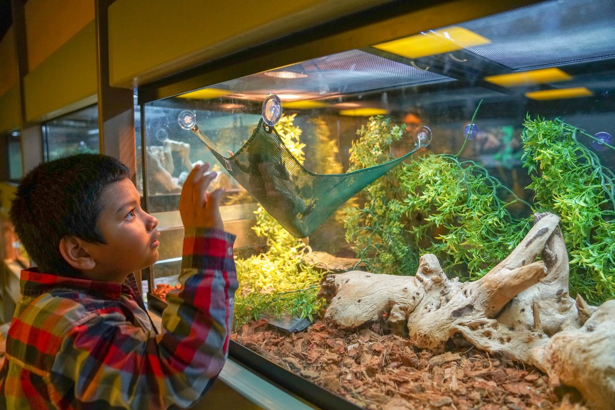 Animal Lab Science Museum of Virginia