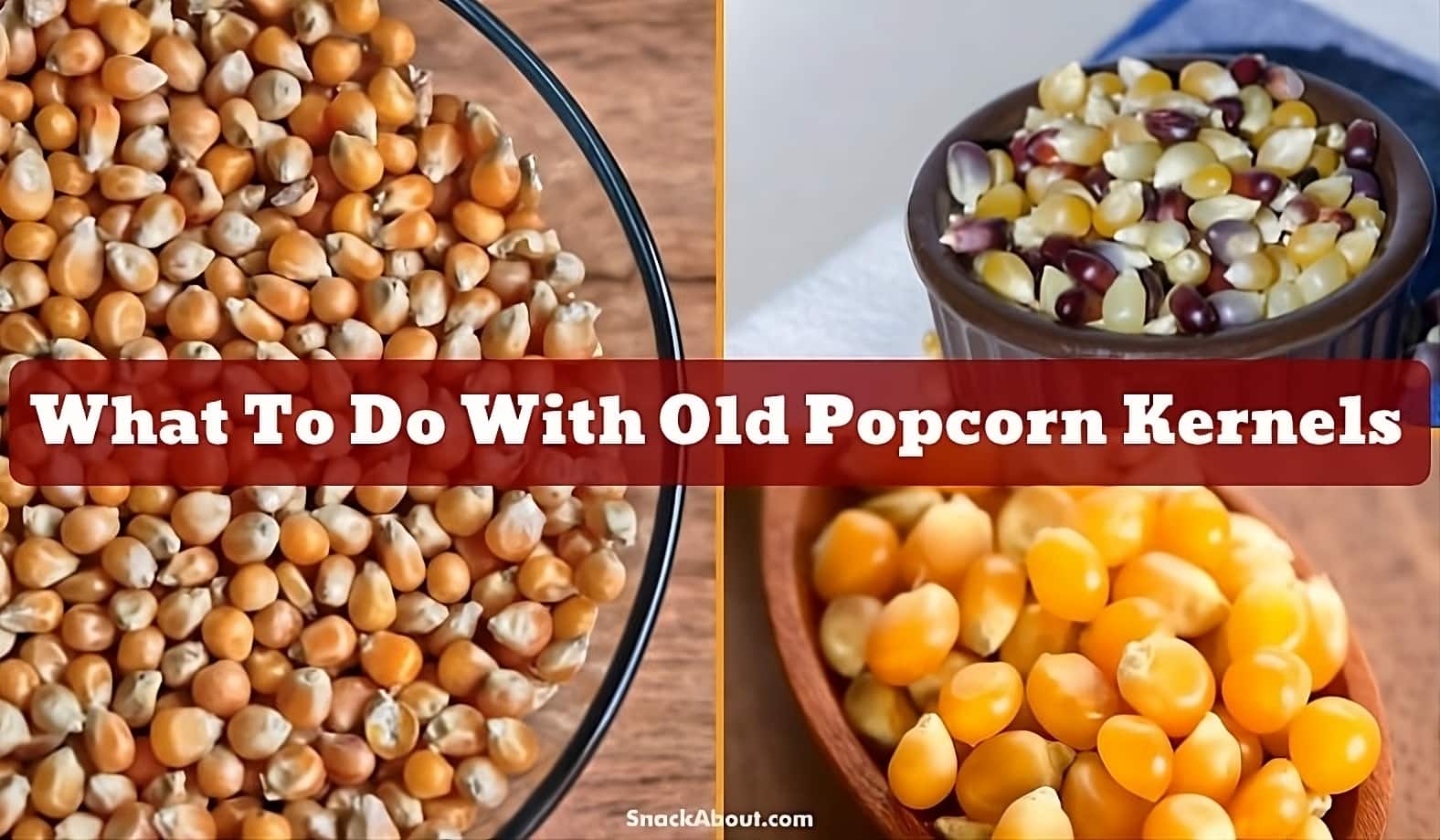 What To Do With Old Popcorn Kernels A Quick Tip Guide