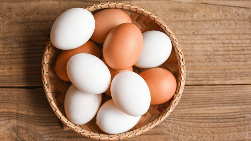 Why Free Range Eggs Are A Smart Choice For Your Kids? Indian Food
