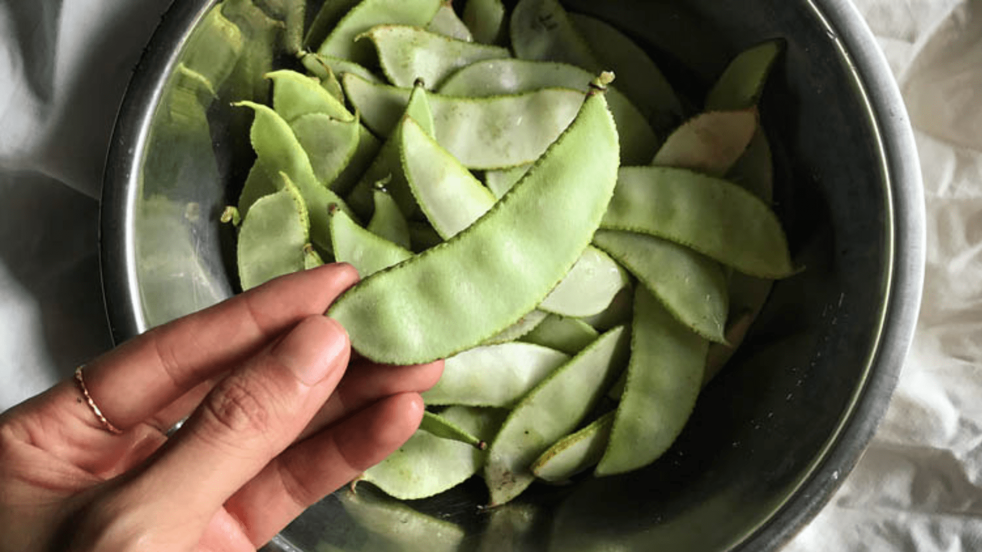 Discover The Powerful Health Benefits Of Hyacinth Beans In Your Daily