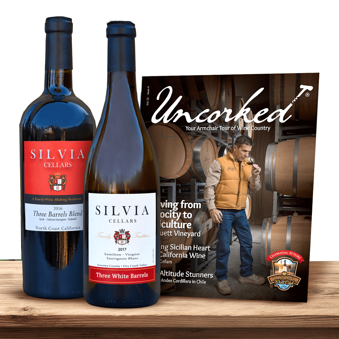 25 Best Wine Gift Boxes, Kits & Packages For Delivery (2024)