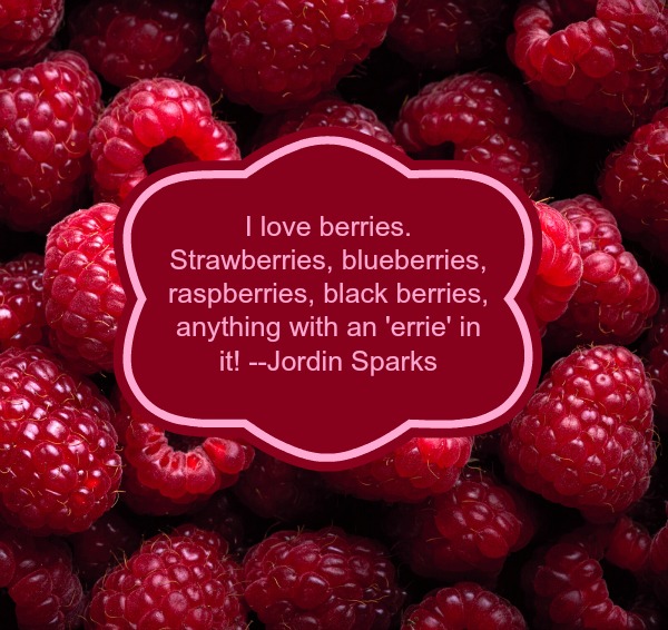 Berries and More Berries Snack Rules